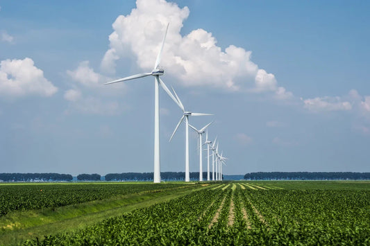 The Environmental Benefits of Solar Energy: A Closer Look